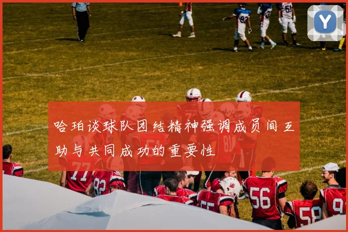 哈珀谈球队团结精神强调成员间互助与共同成功的重要性