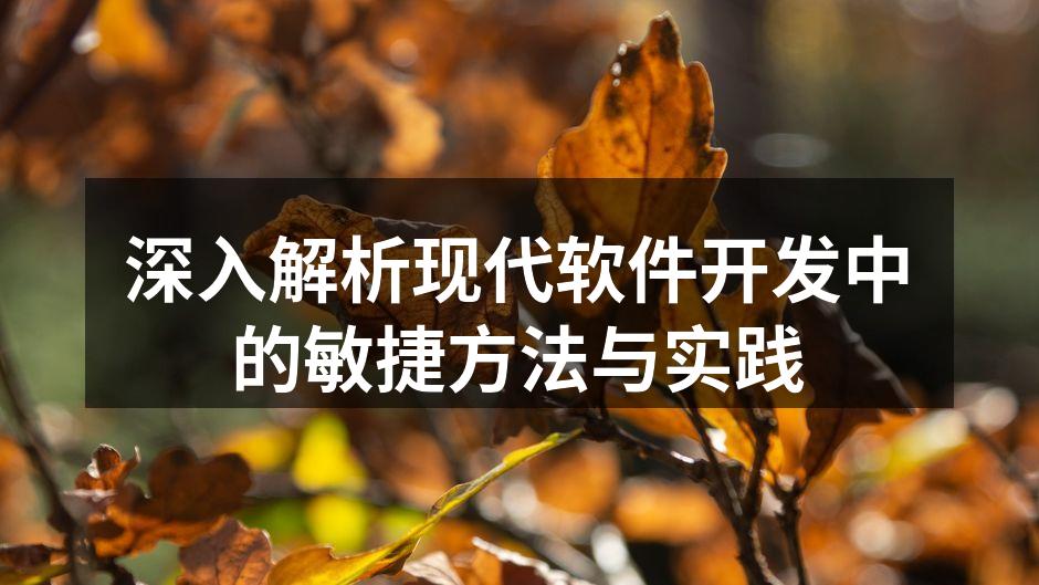 深入解析现代软件开发中的敏捷方法与实践